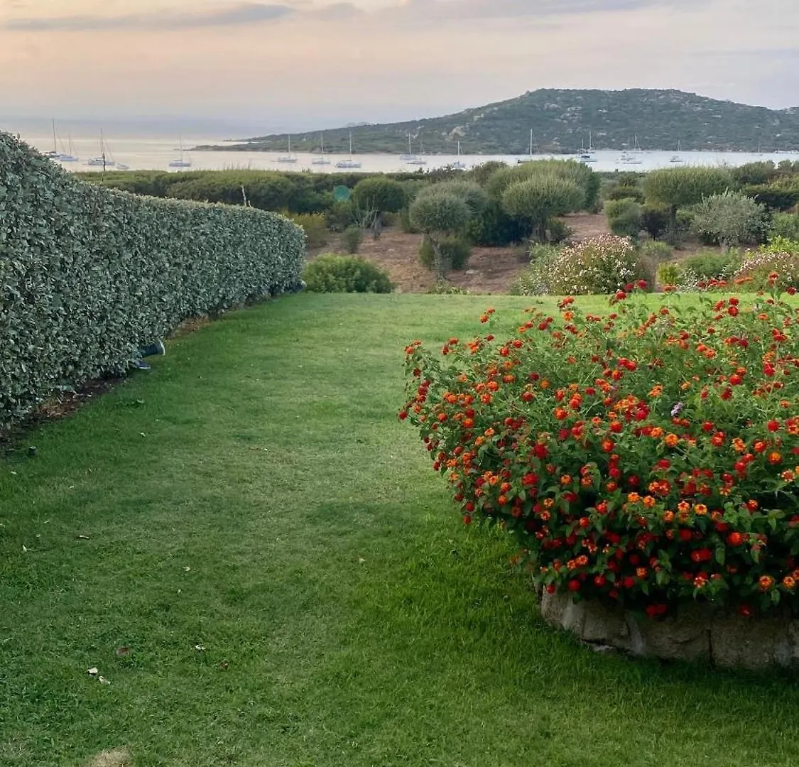 Delizioso Alloggio Vista Mare Porto Pollo Casa vacanze